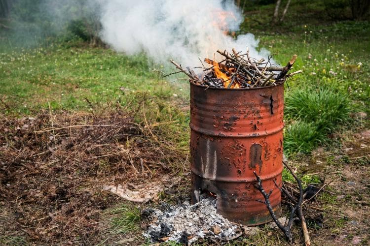 Ми роками спалювали гілки. Поки не дізналися, що робимо велику помилку