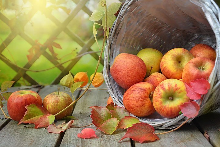 Що приготувати з яблук: 10 найкращих рецептів, які варто зберегти