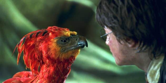 Як «Фантастичні тварини: злочини Грін-де-Вальда» руйнують канон «Гаррі Поттера»