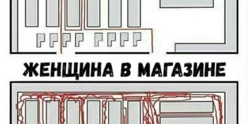 16 доказів того, що чоловіки і жінки походять від різних мавп 39