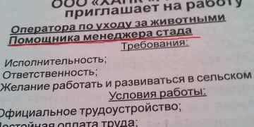 19 оголошень, які дивують своєю непередбачуваністю 25