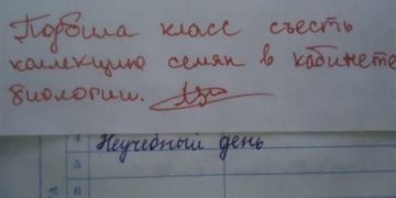 Чергова добірка записів в шкільних щоденниках 1