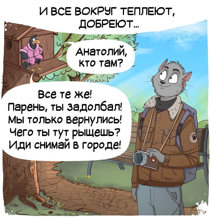 Встречаем весну с очень теплым комиксом про кота Степана