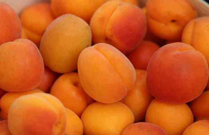 Корисні властивості абрикоса: думка лікарів