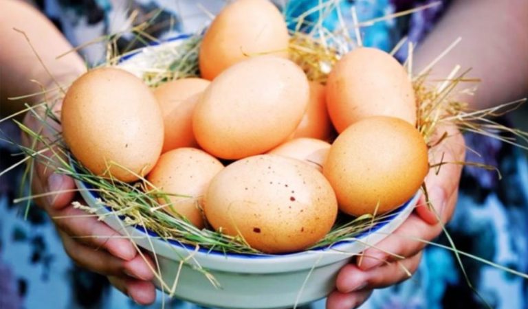 Кури засипають яйцями: досвідчена господиня навчила, що треба робити, щоб вони мчали цілий рік