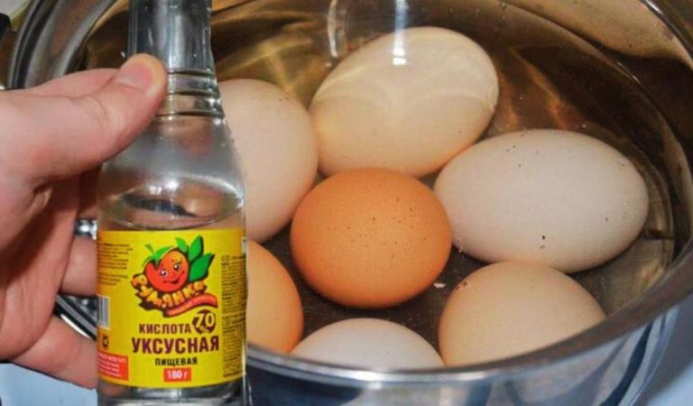 Тепер варю яйця тільки так: досвідчений кухар поділився одним секретом