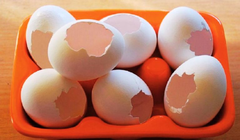 3 роки сусід збирав у всіх родичів яєчну шкаралупу та розкладав її на ділянці.  Сусіди сміялися, а дізнавшись його секрет, почали робити також