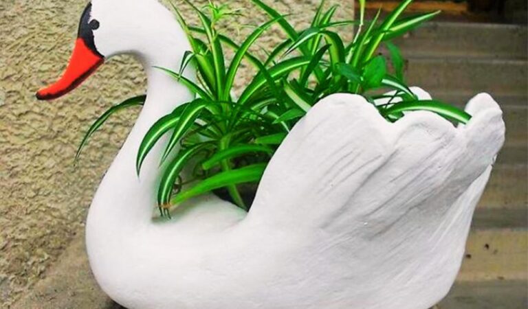 Бабуся навчила робити розкішних садових лебедів.  Забудьте про банальщину із пластикових пляшок